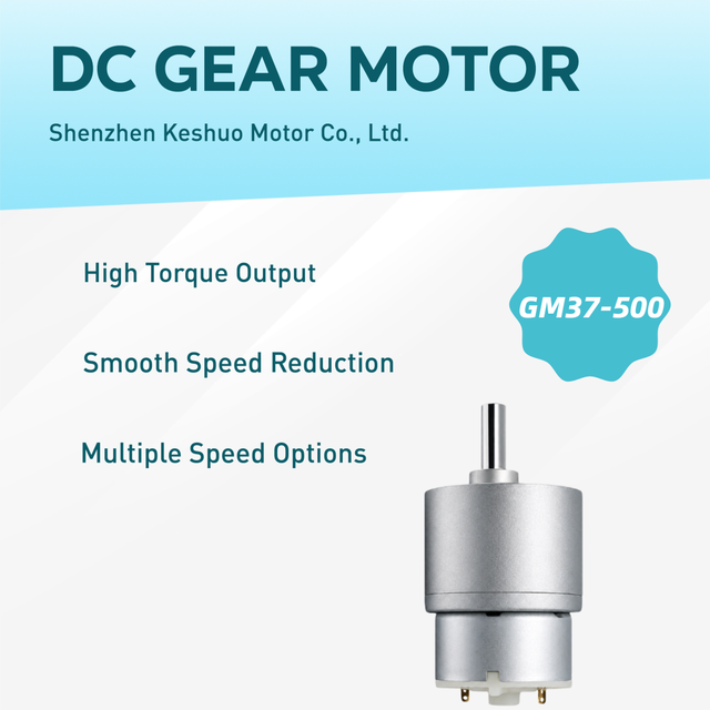 Reliable 3-300 RPM DC Motor with 37mm Geared Box 12V/24V High Torque All-Metal Gears Steady Performance for Heavy-Duty Actuators