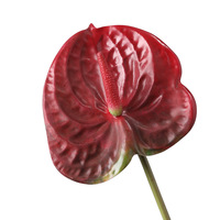 Idée cadeau pour la fête des mères Objets décoratifs pour la maison Real Touch Single Artificial Flamingo Anthurium Flower