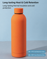 Bouteille isotherme en acier inoxydable 304 de qualité supérieure, multicolore, anti-fuite, isolation sous vide, maintien au chaud de 6 à 12 heures, vente en gros