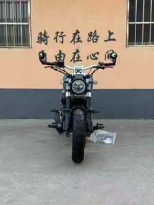 <span class=keywords><strong>Jin</strong></span> Ji La 300 - Moto Sportiva a Due Ruote a Benzina di Seconda Mano Finitura Verniciata Originale. Garanzia di Qualità. - Product Image 6