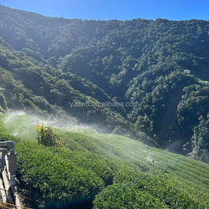 Tè Oolong di Alta Montagna di Taiwan OEM ODM con Fette di Pesca Bianca, Mango, Melone e Uva, Foglie Sfuse Artigianali, Confezione da 500g - Product Image 6