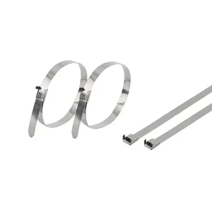 Fireproof Adjustable Uncoated Metal Packing Banding Strap L Type Wing Lock Stainless Steel Cable Ties
