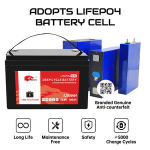 EU 스톡 딥 사이클 리튬인산철(LiFePO4) 충전식 태양광 에너지 저장 배터리 12V 12.8V 100ah 리튬 이온 리튬인산철 배터리 - Product Image 5