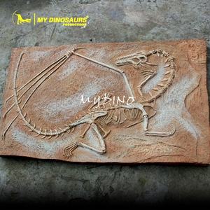 MyDino AS1010 squelette de <span class=keywords><strong>Dragon</strong></span> suspendu au fossile Animal réaliste - Product Image 4