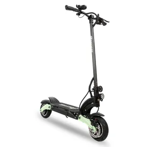 Quickwheel Whale High Quality Lithium Battery 2000W 6000 W Electric Scooter 1200W 48V 18Ah Self-Balancing Electric Scooters