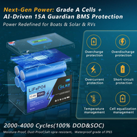 Batterie de stockage d'énergie solaire LiFePO4 à cycle profond 12,8 V 15 Ah