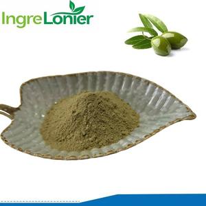 Olea Europaea葉エキスOleuropein粉末オリーブリーフエキス40% Oleuropein - Product Image 2