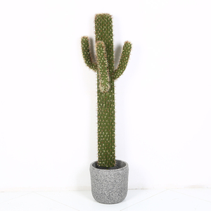 Plastique <span class=keywords><strong>Cactus</strong></span> Succulentes grandes plantes artificielles en pot - Product Image 4