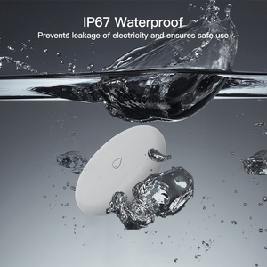 RSH Tuya IP67 Wireless Smart Water Sensor <b>Alarm</b> 110dB Detector for Flood Alexa Google Integration Leak RSH-Zigbee-WL08 Water Lea - Product Image 3