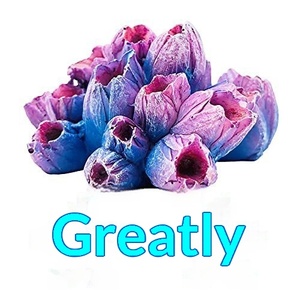 Hobbit Cottage - Decoración de acuario de doble capa con paisaje de rocas artificiales para reptiles y peces, accesorio para acuario. - Product Image 1