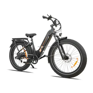 mid drive ebike Senada Electric Bike Mountain Bicycle Fat Tire 750W City 20Ah E Cycle Rts Super Max Snow Lithium Usa Ebike for