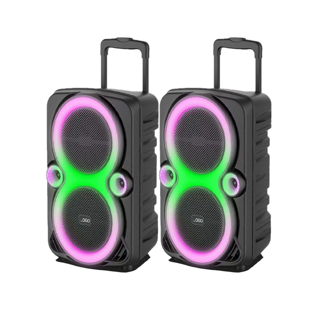 Multifunction Trolley Speaker Outdoor Karaoke Dual 8 Inch 30W Active Speaker