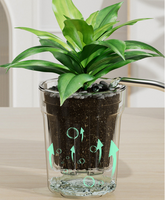 Pot Bunga Dalam Ruangan 10cm, 14cm, 16cm, 20cm, Pot Tanaman Transparan, Pot Plastik Bernapas untuk Tanaman
