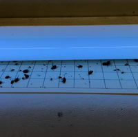 Lámpara blanca para matar moscas de fábrica, uso de trampa para insectos, tableros de pegamento de repuesto para el hogar