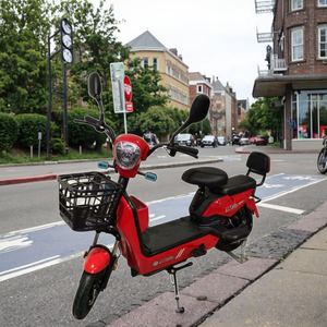 Bicicleta Eléctrica Digital con Marco de Acero y Batería de Plomo-Ácido de 48V 12AH/20AH para Adultos, Motor de Cubo Trasero de 350W/500W, Bicicleta Urbana Electrónica - Product Image 5