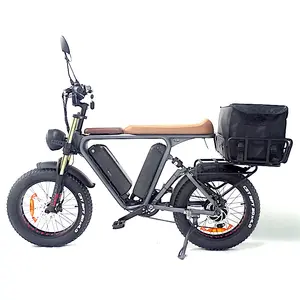 Electric Fat Tire Cargo Bike Family 1000W Heavy For Delivery Food 21Ah Dual Battery Electric Bicycle