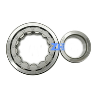Assurance qualité Roulement à rouleaux cylindriques de haute qualité NUP305-NUP311 Double rangée Excellent produit