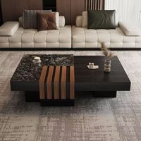 Ensemble de table basse en bois massif de style moderne adapté aux appartements, avec rangement carré et plateau en marbre