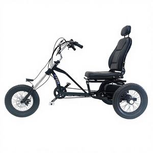 Vélo couché 16 pouces avec <span class=keywords><strong>assistance</strong></span> électrique, moteur arrière, haute vitesse, pour <span class=keywords><strong>adulte</strong></span>, <span class=keywords><strong>tricycle</strong></span> à pédales de forme personnalisée - Product Image 2
