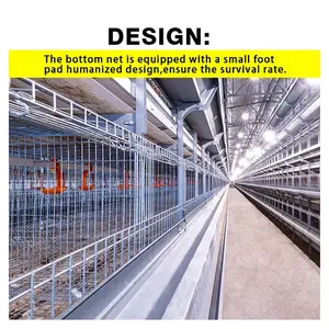 Hot Sale Save Space Aluminum Alloy Customized Pullet Cage Chicken Farm Cage Chicken Cage