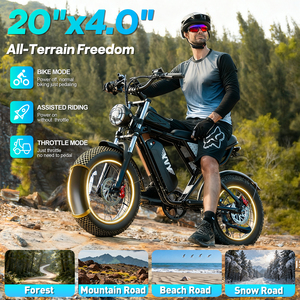 Ridstar Q20 1000W 48V 20Ah for City and Mountain Riding - Product Image 1