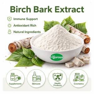 Birch Bark Extract Betula <strong>Alba</strong> 98%Betulin Powder Factory Direct Supply Certified by ISO and GMP - Product Image 1