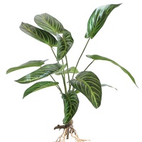 Plante artificielle réaliste et durable en feuilles de arrowroot variées, 58 cm, 12 têtes, en plastique, pour décoration intérieure et extérieure