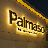 Enseigne publicitaire LED Carrey, logo en acrylique personnalisé, enseigne murale rétroéclairée pour extérieur, lettres LED 3D, signalétique commerciale