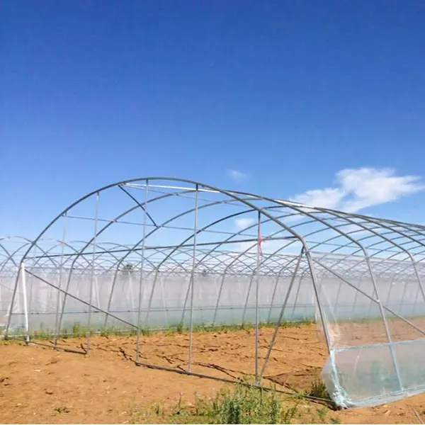 Fábrica al por mayor resistencia al desgarro policarbonato transparente vegetal polytunnel invernadero de un solo tramo