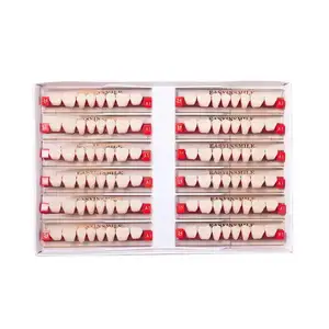 Easyinsmile Dentes de dentadura em resina acrílica para dentes dentários com conjunto completo de dentes para venda