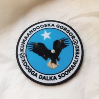 Écussons de broderie personnalisés Design de mode Offre Spéciale insignes de conception imprimée avec Velcro à l'arrière pour vêtements et vêtements