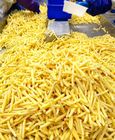 Ligne de production de frites de pommes de terre 500 kg/h 1000 kg/h