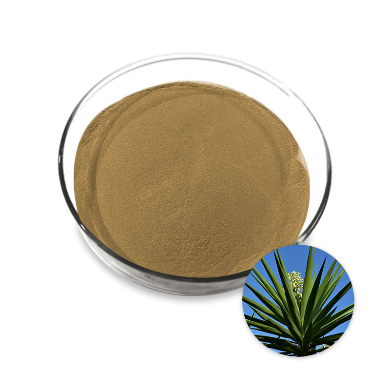 yucca extract powder Manufacturer