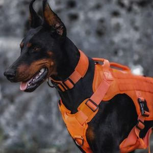 Harness Anjing Taktis Oranye Berkualitas Tinggi Anti Tarik untuk Anjing Sedang - Product Image 5