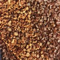 Tranches de Salvia Miltiorrhiza (Dan Shen) séchées AD, racines d'herbes chinoises de haute qualité, aliments santé pour la menstruation féminine