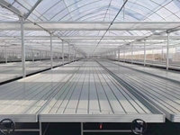 Banco de Cultivo Móvil con Ruedas para Invernadero, de Fácil Instalación, Doble Capa, Grande, 4x8 pies, para Semilleros e Hidroponía