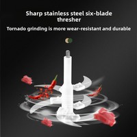 Hachoir à viande électrique mini en acier inoxydable, 3 vitesses, 200-500W, tension universelle, robot culinaire domestique