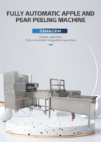 Industriële fruitpelschilmachine van roestvrij staal, commerciële fruitverwerkingsinstallatie, appel- en perenpelschiller, appelontpittermachine