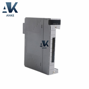 Módulo de entrada analógica Yokogawa S1 de 1/2" - Product Image 2