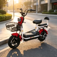 Mini Vélo Électrique Hybride Urbain 350W Moteur Brushless Contrôleur 6 Tubes Pneus 14 250 sous Vide Alarme Antivol Rétroviseurs Trois Vitesses
