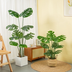 <span class=keywords><strong>Plante</strong></span> artificielle <span class=keywords><strong>monstera</strong></span>, fausse feuille de tortue <span class=keywords><strong>Monstera</strong></span> blanche et verte, arbres en plastique, <span class=keywords><strong>plante</strong></span> artificielle <span class=keywords><strong>Monstera</strong></span> panachée - Product Image 2