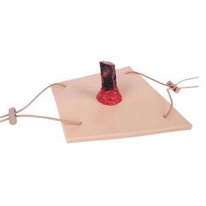 Modèle d'entraînement aux blessures pénétrantes des membres avec corps étranger intégré pour la formation aux premiers secours en cas d'urgence - Product Image 5
