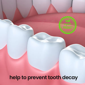 Pabrik Produsen Permen Karet Organik untuk Mendukung Kesehatan Gigi Dewasa Permen Karet Nabati Permen Karet Rasa Mint - Product Image 4