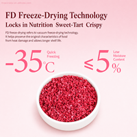 Cubos de Frambuesa Liofilizados de 5*5mm, Fruta Natural Crujiente sin Azúcar Añadido, Venta al por Mayor para Snacks, Yogur y Repostería OEM/ODM
