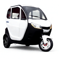 Nouveau tricycle électrique LEO E3 entièrement fermé pour les trajets quotidiens, avec moteur à moyeu arrière, 3 vitesses, 60V, trois places, 1500W