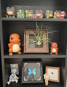 Figurines d'anime Pokémon en gros - Bulbasaur Charmander Togepi Psyduck Figurines d'action Jouets décoratifs Ornements - Product Image 6