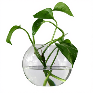 <span class=keywords><strong>Vasi</strong></span> in Vetro a Forma di Boccia, Vaso in Vetro da 20cm, Terrario in Vetro Trasparente, Vaso <span class=keywords><strong>per</strong></span> Fiori in Vetro Borosilicato - Product Image 3