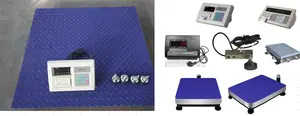 2 Ton High Quality Carbon Steel Digital Weight Scale Machine Platform Floor Weighing Scale PW