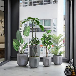 2025 Hoge Kwaliteit Grote Bensai Klei Cilinder Potten Huis & Tuin Schattige Bloempotten Populaire Hoge Kwaliteit Benching Tool - Product Image 2