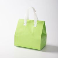 Sac isotherme personnalisé en tissu non tissé écologique avec doublure en aluminium pour garder les aliments et les boissons au frais
